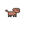 Perro